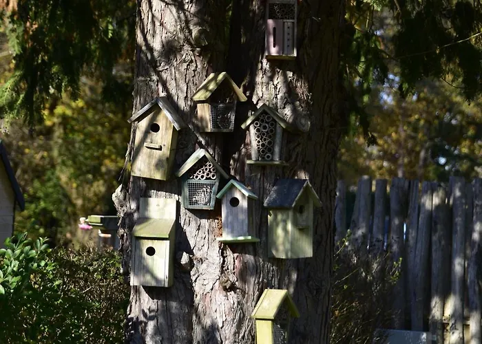 The Holidayhouse - 5 Min Efteling Bed and Breakfast Loon op Zand